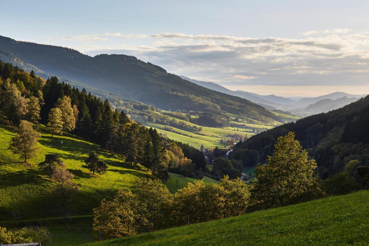 Elzland Hotel 9 Linden "Ferienwohnung" Elzach Eksteriør billede